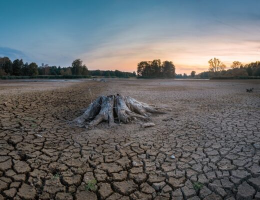 La lutte contre réchauffement climatique en Afrique : quelles solutions ?