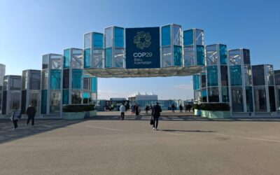 COP29 : Trop peu, trop tard